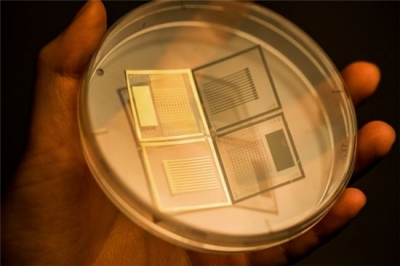 아시아경제 : 3차원 압력센서 개발…스마트 운동화 등에 응용