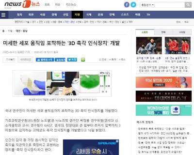 뉴스1: 미세한 세포 움직임 포착하는 '3D 촉각 인식장치' 개발