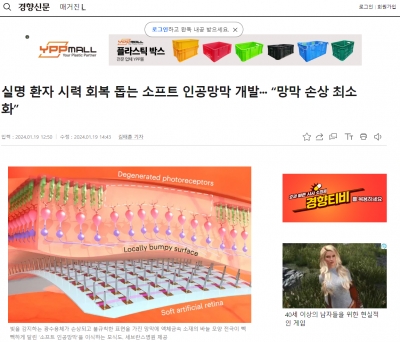 실명 환자 시력 회복 돕는 소프트 인공망막 개발··· “망막 손상 최소화”