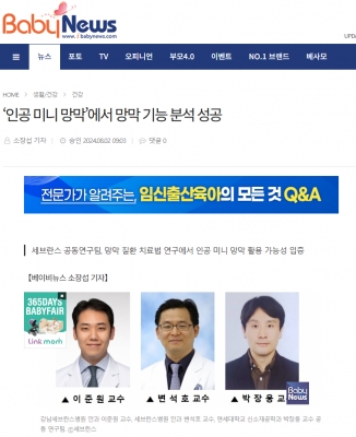 ‘인공 미니 망막’에서 망막 기능 분석 성공