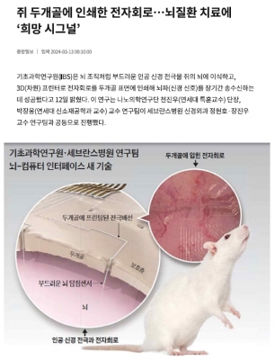 쥐 두개골에 인쇄한 전자회로…뇌질환 치료에 ‘희망 시그널’