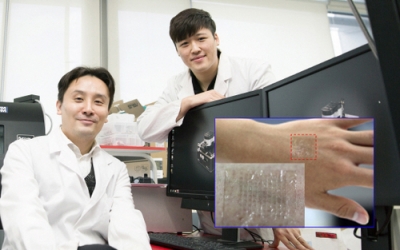 서울경제: 피부에 붙여도 티 나지 않는 '투명 전자피부' 기술 개발	