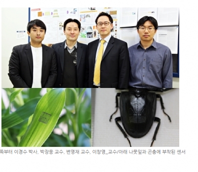 산업일보, '살아있는 곤충에 부착, 작동하는 전자회로 구현'		