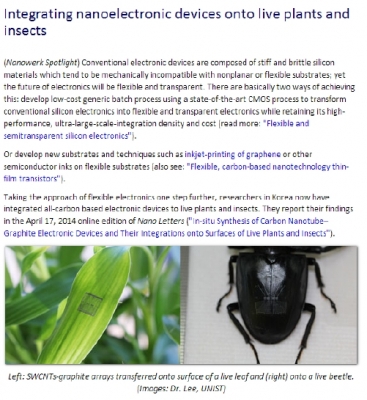 미국 'Nanowerk'에 연구결과 소개 ('Integrating nanoelectronic devices onto live plants and insects')		
