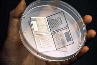 울산매일 : UNIST 신소재공학부 박장웅 교수팀 ‘3차원 압력 센서’ 개발