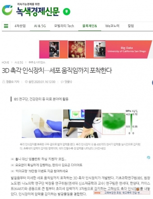 녹색경제신문: 3D 촉각 인식장치…세포 움직임까지 포착한다