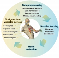 [2025] Machine Learning in Biosignal Analysis from Wearable Devices