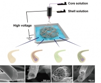 [2017] Multi-dimensional Carbon Nanofibers for Supercapacitor Electrodes
