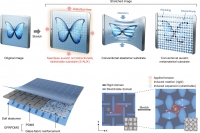 [2024] A Seamless Auxetic Substrate with a Negative Poisson’s Ratio of -1