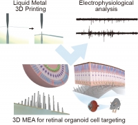 [2024] Electrophysiological Analysis of Retinal Organoid Development Using Three-Dimensional Microelectrodes of Liquid Metals