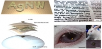 **[2013] High-Performance, Transparent and Stretchable Electrodes using Graphene-Metal Nanowire Hybrid Structures