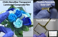 [2017] Bioinspired Transparent Laminated Composite Film for Flexible Green Optoelectronics