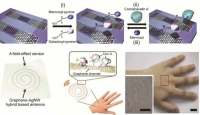 *[2015] Highly Transparent and Stretchable Field-Effect Transistor Sensors Using Graphene-Nanowire Hybrid Nanostructures