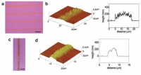 [2013] Air-stable, surface-oxide free Cu nanoparticles for highly conductive Cu ink and their application to printed graphene transistors