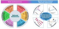 [2025] Machine learning enhanced multimodal bioelectronics: Advancement towards intelligent healthcare systems