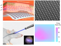 [2024] Liquid-metal-based three-dimensional microelectrode arrays integrated with implantable ultrathin retinal prosthesis for vision restoration
