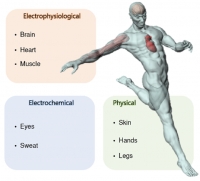 [2023] Emerging bio-interfacing wearable devices for signal monitoring: Overview of the mechanisms and diverse sensor designs to target distinct physiological bio-parameters