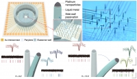 [2025] Magnetically reshapable 3D multi-electrode arrays of liquid metals for electrophysiological analysis of brain organoids