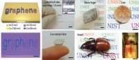**[2012] Synthesis of monolithic graphene-graphite integrated electronics