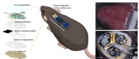 [2024] Power-integrated, wireless neural recording systems on the cranium using a direct printing method for deep brain analysis