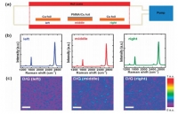 [2013] In-situ observations of gas phase dynamics during graphene growth using solid-state carbon sources