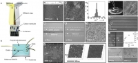 *[2006] In-situ Deposition and Patterning of Single-Walled Carbon Nanotubes By Laminar Flow and Controlled Flocculation in Microfluidic Channels
