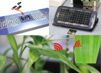 [2016] Wearable, Wireless Gas Sensors Using Highly Stretchable and Transparent Structures of Nanowires and Graphene
