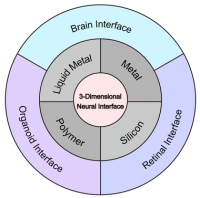 [2026] Emerging Diverse 3D Neural Electrode Architectures for Bioelectronics