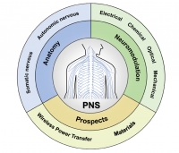 [2024] Neuromodulation of the Peripheral Nervous System: Bioelectronic Technology and Prospective Developments