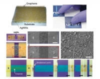 [2015] Studies on the mechanical stretchability of transparent conductive film based on graphene-metal nanowire structures
