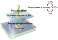 *[2019] Human-Interactive, Active-Matrix Displays for Visualization of Tactile Pressures
