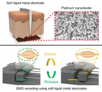 [2025] 3D Soft Liquid Metal Electrodes for High-resolution and Long-term Electromyography in Muscle Trauma Assessment
