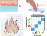 [2024] Interference haptic stimulation and consistent quantitative tactility in transparent electrotactile screen with pressure-sensitive transistors
