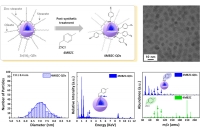 [2024] Bright and Stable ZnSeTe Core/Shell Quantum Dots Enabled by Surface Passivation with Organozinc Halide Ligands