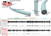 [2025] Implantable Soft Neural Electrodes of Liquid Metals for Deep Brain Stimulation