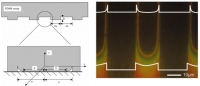 [2005] Collapse of stamps for soft lithography due to interfacial adhesion