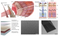 [2026] An Implantable Epiretinal Device for Near-Infrared Light Perception