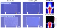 *[2018] A Full-Visible-Spectrum Invisibility Cloak for Mesoscopic Metal Wires