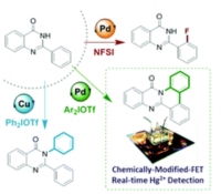[2017] Direct diversification of unmasked quinazolin-4(3H)-ones through orthogonal reactivity modulation