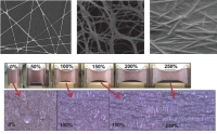 [2016] Nanomaterial-based Stretchable and Transparent Electrodes