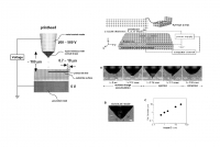 [2007]High Resolution Electrohydrodynamic Jet Printing for Manufacturing Systems