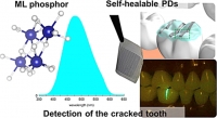 [2022] Detection of the cracked tooth using mechanoluminescence phosphor with a stretchable photodetector array
