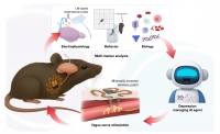 [2026] AI-driven tripartite classification for optimizing wearable bioelectronics in depression management