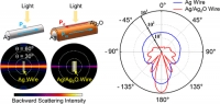 [2018] Engineered Unidirectional Scattering in Metal Wire Networks for Ultrahigh Glass-Like Transparency