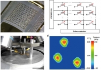 **[2017] Integrated Arrays of Air-Dielectric Graphene Transistors as Transparent, Active-Matrix Pressure Sensors for Wide Pressure Ranges