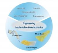 [2024] Engineering Implantable Bioelectronics for Electrophysiological Monitoring in Preclinical Animal Models