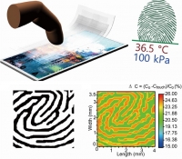 **[2018] Transparent and Flexible Fingerprint Sensor Array with Multiplexed Detection of Tactile Pressure and Skin Temperature
