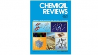 *[2007] Micro and Nanopatterning Techniques for Organic Electronic and Optoelectronic Systems