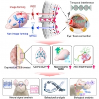 [2026] Contact Lens Bioelectronic Platform for Non-Invasive Depression Treatment with Machine Learning-Based Evaluation