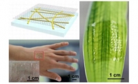 *[2014] Stretchable and Transparent Electrodes using Hybrid Structures of Graphene-Metal Nanotrough Networks with High Performances and Ultimate Uniformity